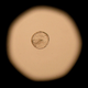 Image for article titled Embrace Of Embryonic Testing During IVF Doing More Harm Than Good?